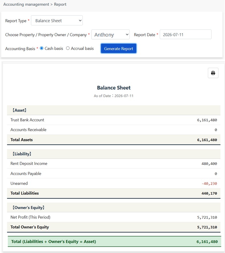 Generated Balance Sheet: Assets, Liabilities, Owner's Equity